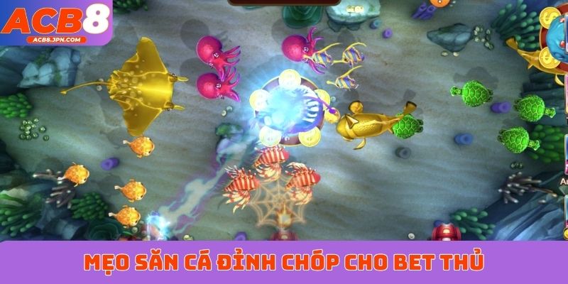 Mẹo săn cá đỉnh chóp cho bet thủ