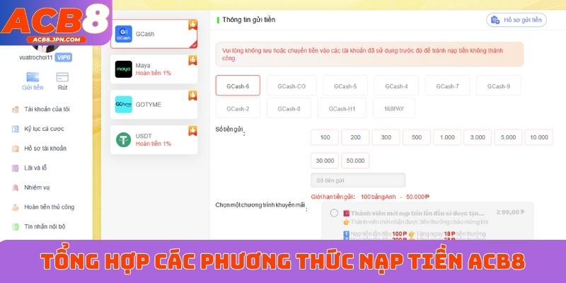 Tổng hợp các phương thức nạp tiền ACB8