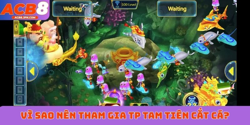 Vì sao nên tham gia TP Tam Tiên Cắt Cá?
